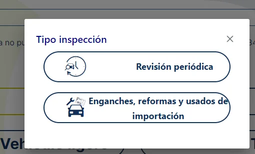 tipo de inspección técnica de vehículo